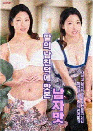 玫瑰的故事